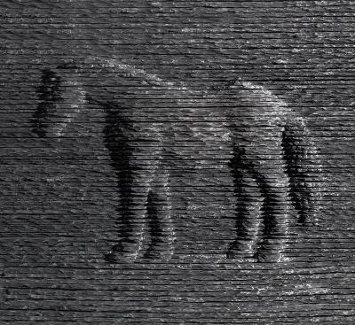 Boaz Vaadia - Wendy Steiner