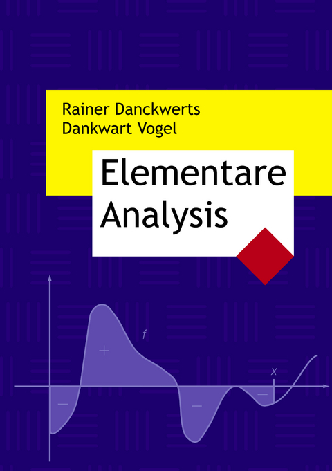 Elementare Analysis - Rainer Danckwerts, Dankwart Vogel