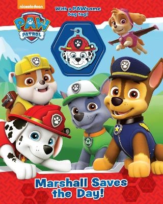 Nickelodeon PAW Patrol Marshall Saves the Day!