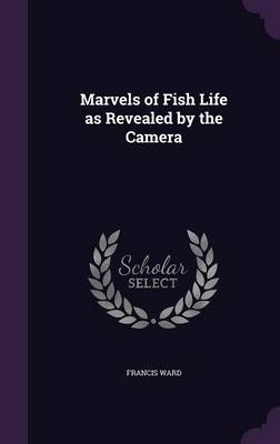 Marvels of Fish Life as Revealed by the Camera