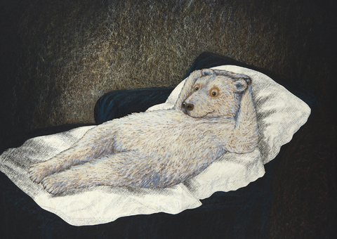 Hei&szlig;b&auml;r Postkarte VE 1=10