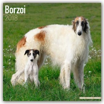 Borzoi Calendar 2018 -  Avonside Publishing Ltd