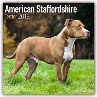American Staffordshire Terrier 2018 -  Avonside Publishing Ltd