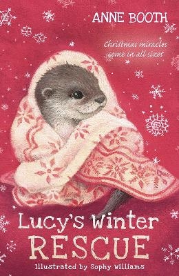 Lucy's Winter Rescue - Anne Booth