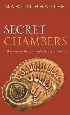 Secret Chambers - Martin Brasier