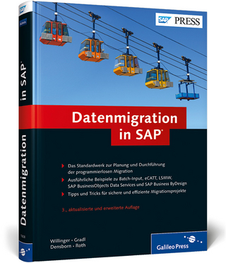 Datenmigration in SAP