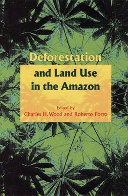 Deforestation and Land Use in the Amazon