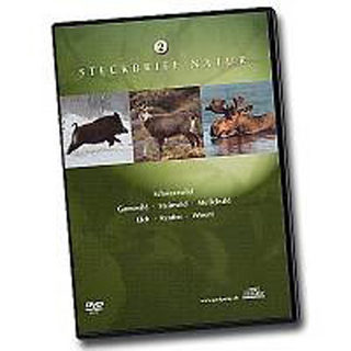 Steckbrief Natur: Teil 2 - Schwarzwild, Gamswild, Steinwild, Muffelwild, Elch, Rentier, Wisent