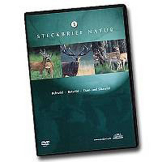 Steckbrief Natur: Teil 1 - Rehwild, Rotwild, Dam- und Sikawild