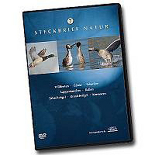 Steckbrief Natur: Teil 7 - Wildenten, Gänse, Schwäne, Lappentaucher, Rallen, Schreitvögel, Kranichvögel, Kormoran