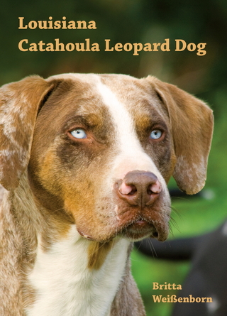 Louisiana Catahoula Leopard Dog