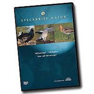 Steckbrief Natur: Teil 5 - Hühnervögel, Wildtauben, Wat- und Möwenvögel