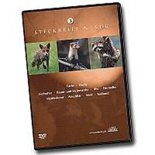 Steckbrief Natur: Teil 3 - Fuchs, Dachs, Fischotter, Baum- und Steinmarder, Iltis, Hermelin, Marderhund, Waschbär, Mink, Seehund
