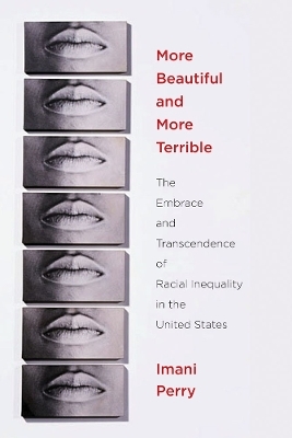 More Beautiful and More Terrible - Imani Perry