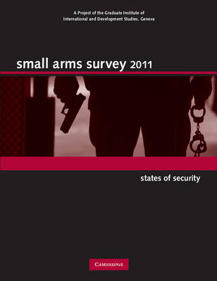Small Arms Survey 2011