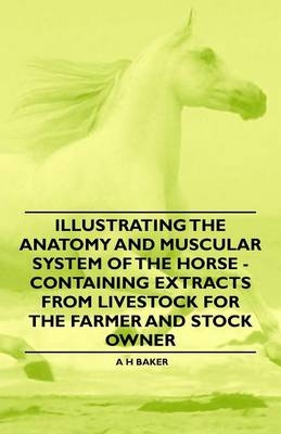Illustrating the Anatomy and Muscular System of the Horse - Containing Extracts from Livestock for the Farmer and Stock Owner