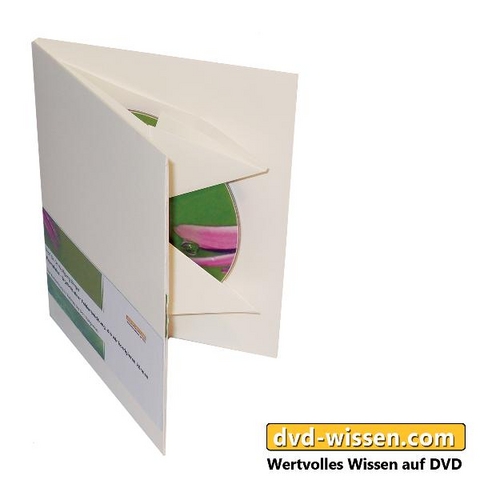 Sabrina Fox: Beziehungen - Das g&ouml;ttliche Trainingsprogramm - 