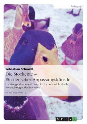Die Stockente - ein tierischer Anpassungsk&uuml;nstler - Sebastian Schmidt