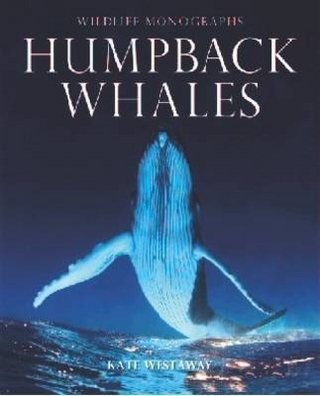 Humpback Whales
