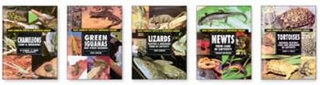 Basic Domestic Reptiles and Amphibians