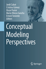 Conceptual Modeling Perspectives - 