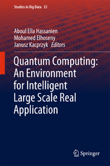 Quantum Computing:An Environment for Intelligent Large Scale Real Application - 