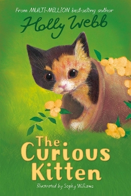 The Curious Kitten - Holly Webb