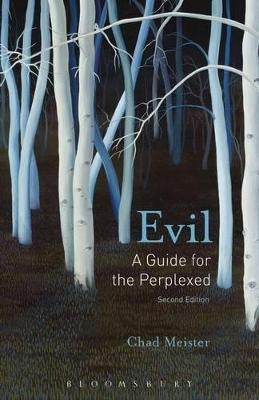 Evil: A Guide for the Perplexed - Professor Chad V. Meister