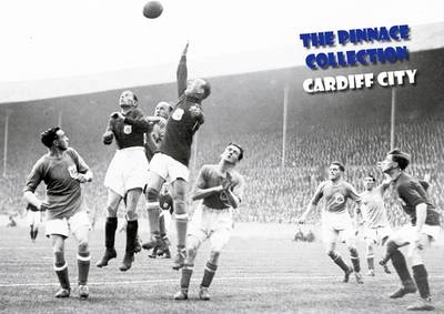 The Pinnace Collection - Cardiff City - Paul Days