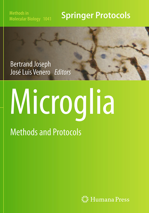 Microglia - 