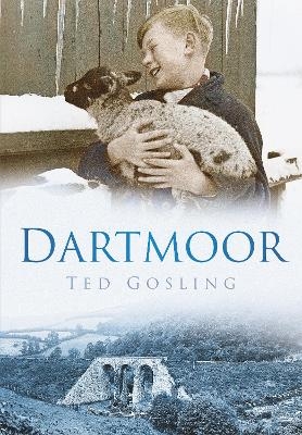 Dartmoor - Ted Gosling