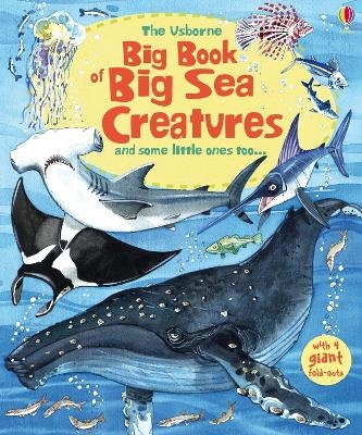 Big Book of Big Sea Creatures - Minna Lacey
