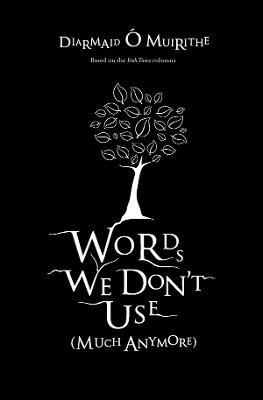 Words We Don't Use - Diarmaid &Oacute; Muirithe