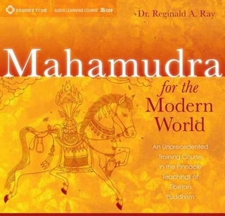 Mahamudra for the Modern World