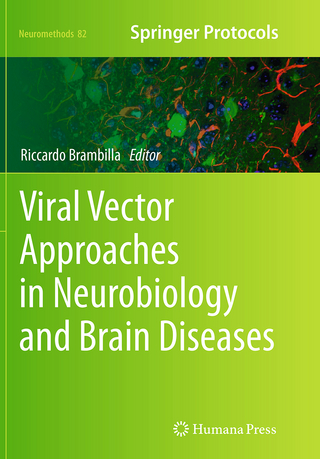 Viral Vector Approaches in Neurobiology and Brain Diseases