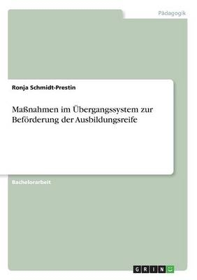 Ma&Atilde;nahmen im &Atilde;bergangssystem zur Bef&Atilde;&para;rderung der Ausbildungsreife - Ronja Schmidt-Prestin
