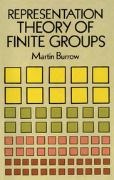 Representation Theory of Finite Groups -  Martin Burrow