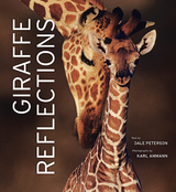 Giraffe Reflections -  Dale Peterson