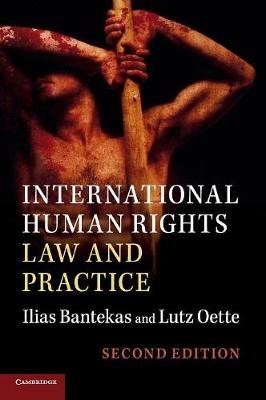 International Human Rights Law and Practice
