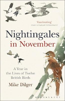 Nightingales in November