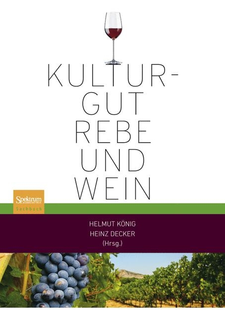 Kulturgut Rebe und Wein - 