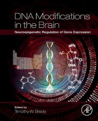 DNA Modifications in the Brain - 