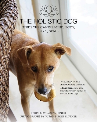 The Holistic Dog