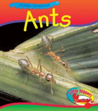 Creepy Creatures Pack B of 4