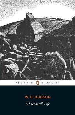 A Shepherd's Life - W. H. Hudson