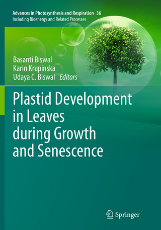 Plastid Development in Leaves during Growth and Senescence