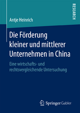 Die Förderung kleiner und mittlerer Unternehmen in China - Antje Heinrich