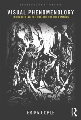 Visual Phenomenology - Erika Goble
