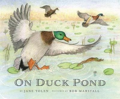 On Duck Pond - Jane Yolen