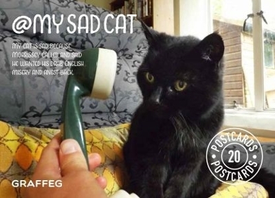 My Sad Cat Postcard Pack - Tom Cox